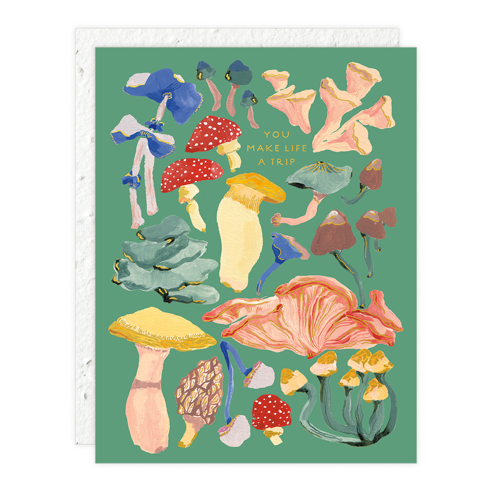 Shrooms | BOU85919 — Seedlings